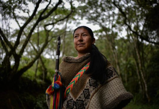 Vencedores del miedo: indígenas Nasa