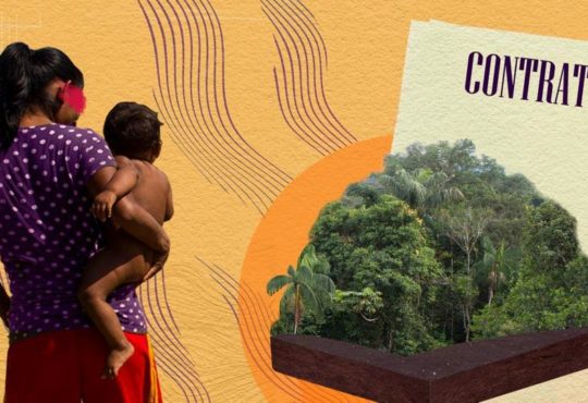 Lo que dicen los contratos de bonos de carbono que dividen a comunidades indígenas de Vaupés