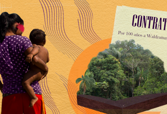Una empresa divide a los indígenas y compromete parte de la Amazonía por cien años